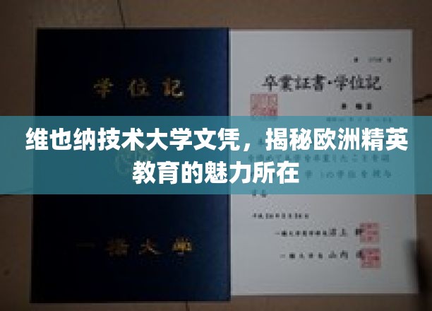 探寻维也纳技术大学文凭背后的欧洲精英教育风采