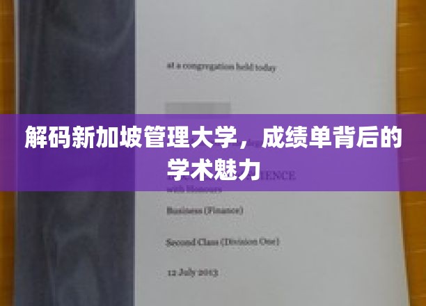 解码新加坡管理大学，成绩单背后的学术魅力