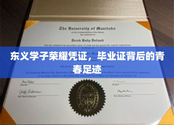 东义荣耀印记，毕业证书中的青春篇章