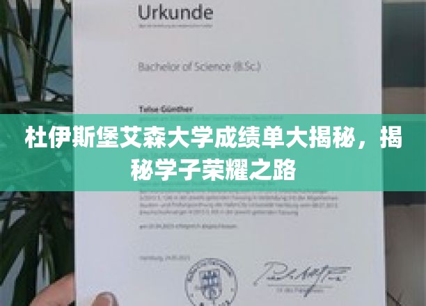 杜伊斯堡艾森大学成绩单大揭秘，探寻学子荣耀之路