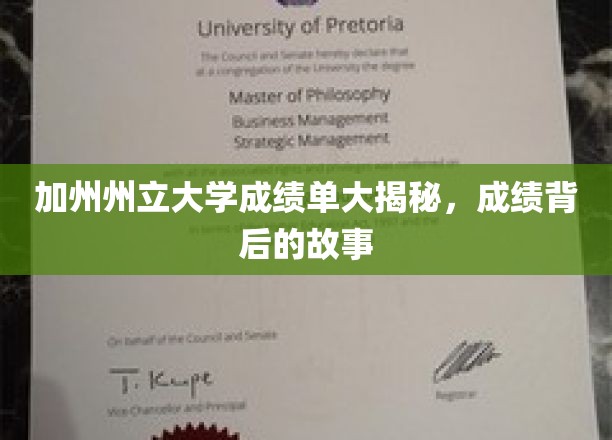加州大学成绩单背后，揭秘学霸们的成长轨迹