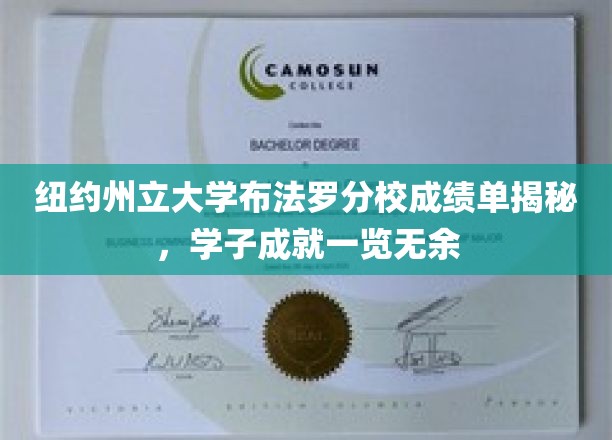纽约州立大学布法罗分校成绩单揭秘，学子成就一览无余
