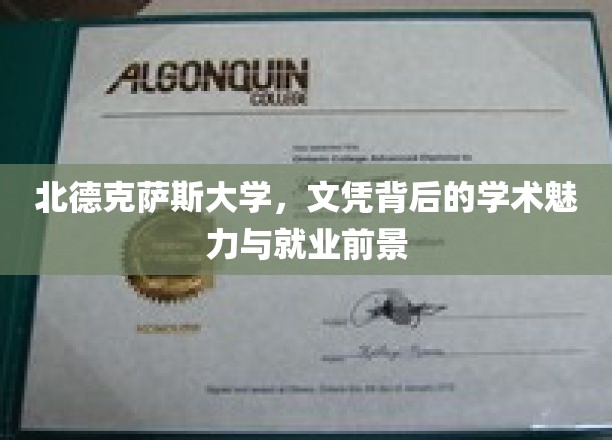 北德克萨斯大学，文凭背后的学术魅力与就业前景