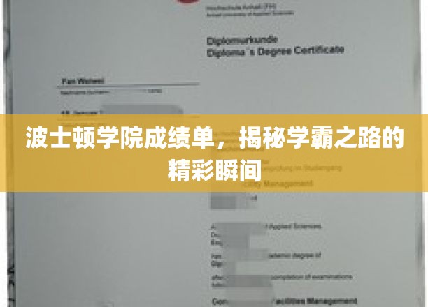 探寻波士顿学院学霸传奇，揭秘他们的成绩单背后的故事