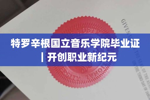 特罗辛根国立音乐学院毕业证｜开创职业新纪元