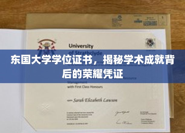 东国大学学位证书，探寻荣耀背后的学术辉煌
