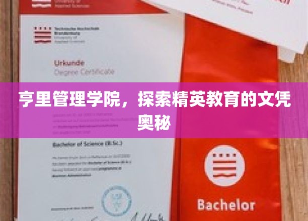 解码亨里管理学院，精英教育文凭的神秘面纱