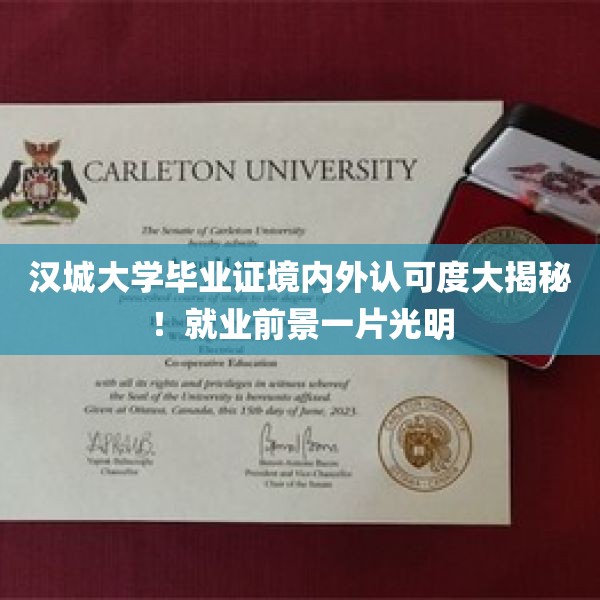 汉城大学毕业证境内外认可度大揭秘！就业前景一片光明