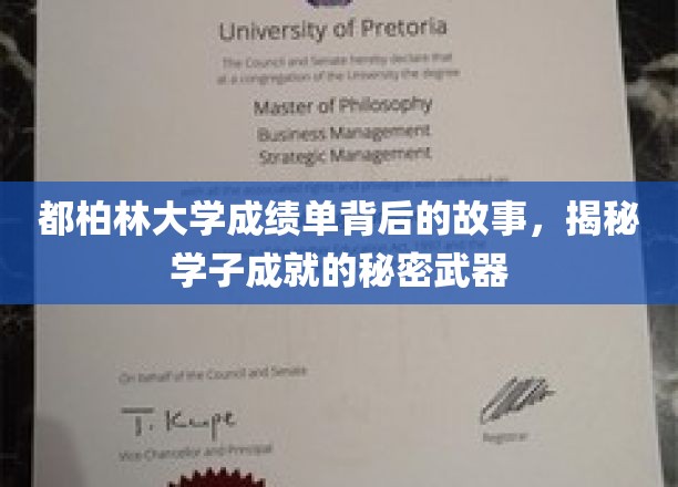探索都柏林大学学子卓越背后的神秘力量