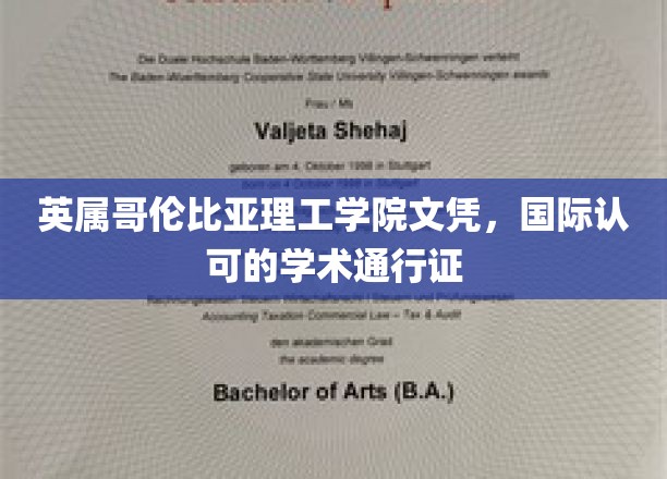 跨国学历通行证，英属哥伦比亚理工学院文凭的全球认可魅力