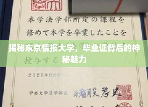 东京情报大学，揭秘毕业证背后的非凡价值