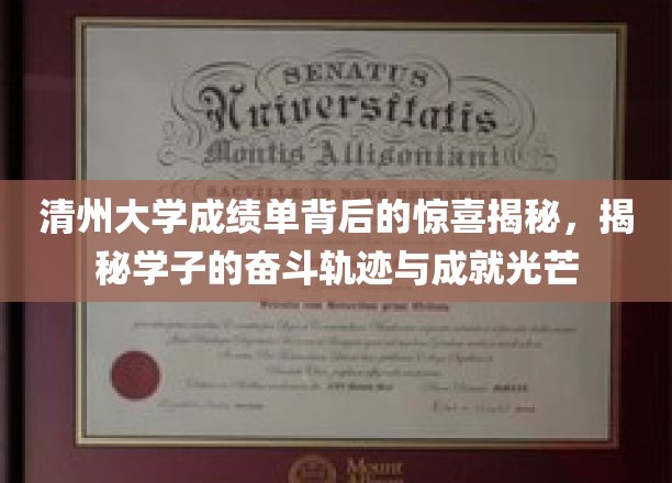 清州学子成就映照，一纸成绩单背后的奋斗故事