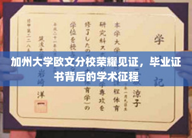 加州大学欧文分校荣耀见证，毕业证书背后的学术征程