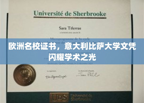 欧洲名校证书，意大利比萨大学文凭闪耀学术之光