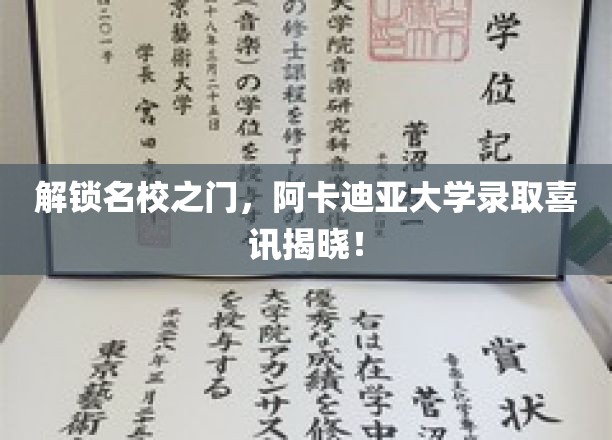 解锁名校之门，阿卡迪亚大学录取喜讯揭晓！