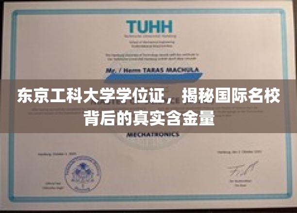 东京工科大学学位证书，探寻国际名校的真实含金量