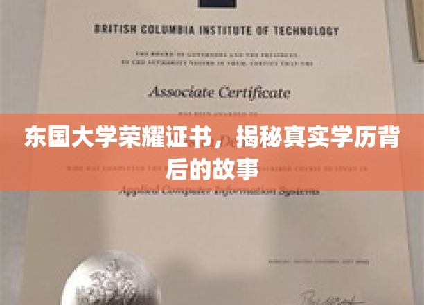 东国大学荣耀证书，揭秘真实学历背后的故事
