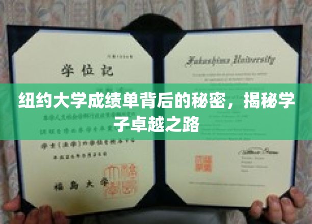 纽约大学成绩单背后的秘密，揭秘学子卓越之路