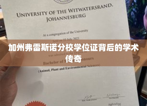 加州弗雷斯诺分校学位证，揭秘非凡学子的辉煌成就之路