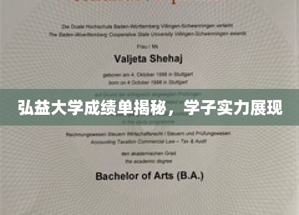 弘益大学成绩单揭秘，学子实力展现