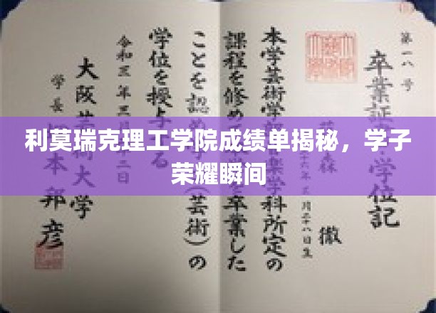 利莫瑞克理工学院成绩单揭秘，学子荣耀瞬间