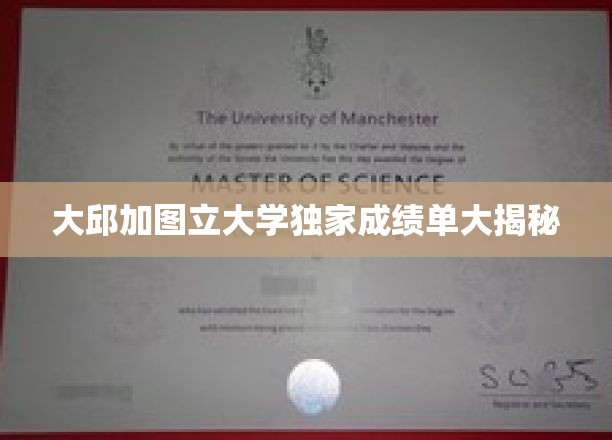 大邱加图立大学成绩单背后隐藏的惊人真相！