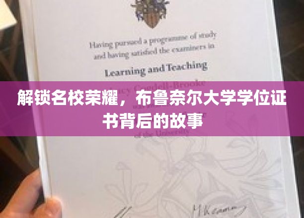 解锁名校荣耀，布鲁奈尔大学学位证书背后的故事