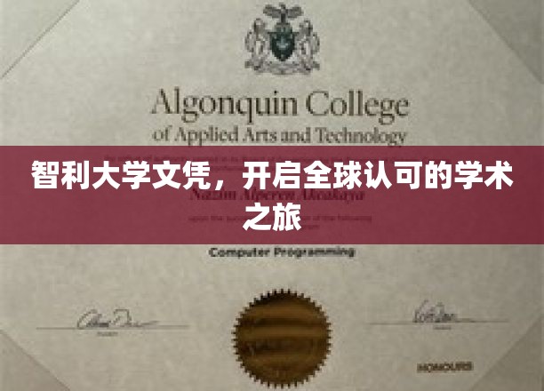 智利大学文凭，开启全球认可的学术之旅