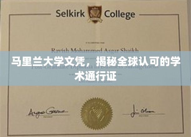 马里兰大学文凭，开启国际学术认可之旅
