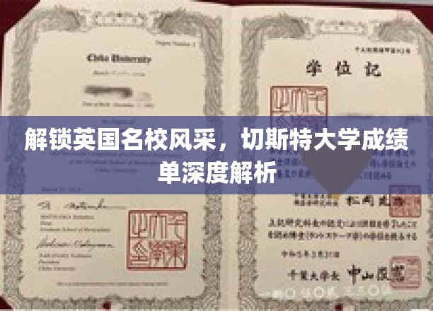 英国顶尖学府风采揭秘，深度解读切斯特大学成绩单背后的故事