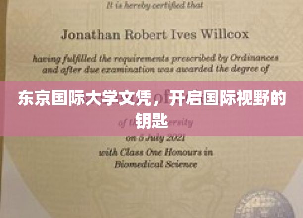 解锁全球机遇，东京国际大学文凭，开启无限视野之旅