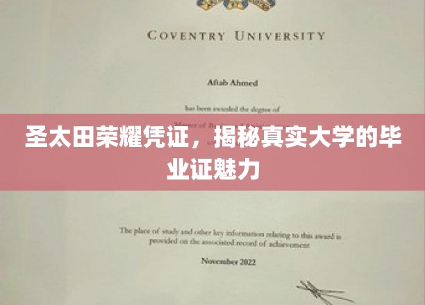 圣太田荣耀凭证，揭秘真实大学的毕业证魅力