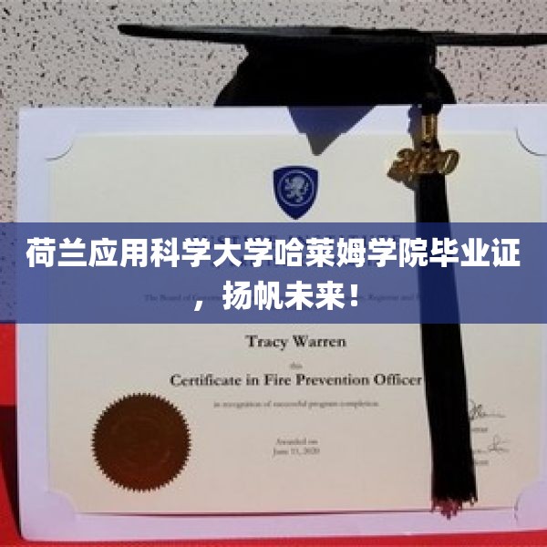 荷兰应用科学大学哈莱姆学院毕业证，扬帆未来！