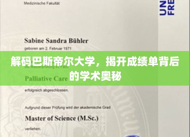 解码巴斯泰尔大学，揭示成绩单背后的学术奥秘