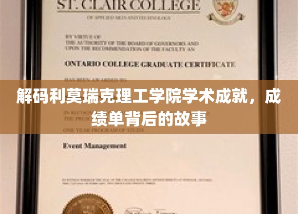 利莫瑞克理工学院辉煌背后，揭秘学术奇迹的幕后传奇