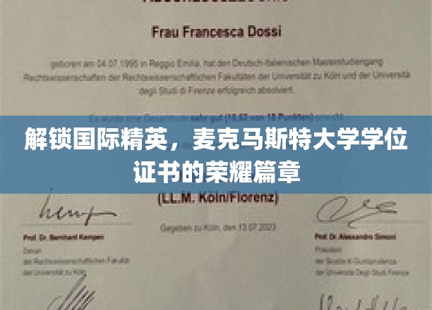 麦克马斯特荣耀启程，国际精英学位证书的非凡征程