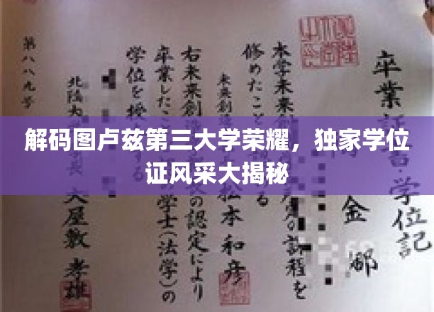图卢兹第三大学学位证之谜，一探究竟的独家荣耀全景