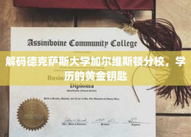 探寻德克萨斯大学加尔维斯顿分校，解锁学历成功的黄金钥匙