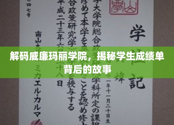 探寻威廉玛丽学院，揭开学生成绩单背后的神秘面纱