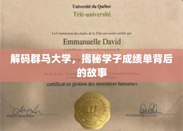群马学子风采揭秘，成绩单背后的成长轨迹